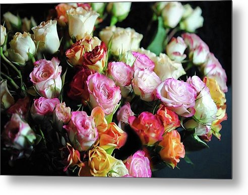 Mini Tea Roses - Metal Print