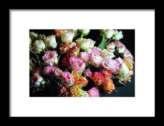 Mini Tea Roses - Framed Print