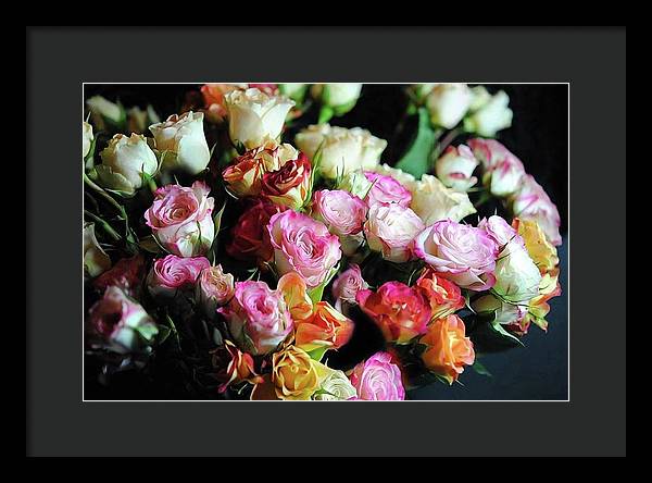 Mini Tea Roses - Framed Print