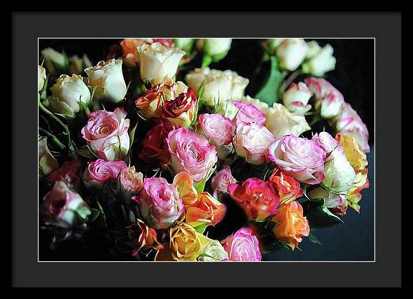 Mini Tea Roses - Framed Print