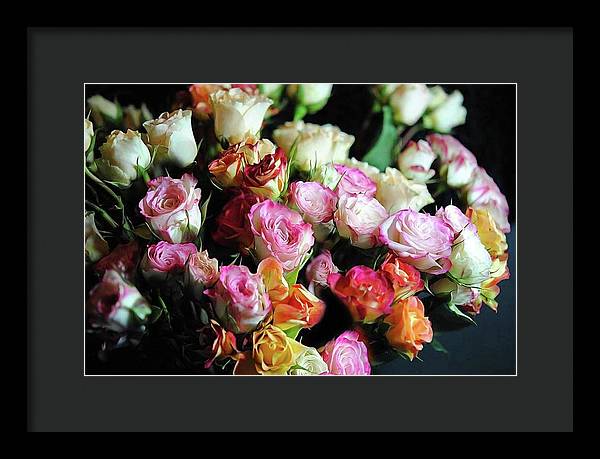 Mini Tea Roses - Framed Print