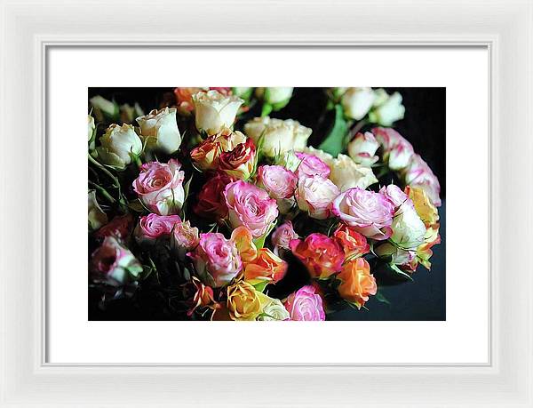 Mini Tea Roses - Framed Print
