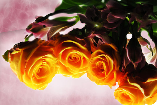 Mini Orange Roses on Pink Digital Image Download