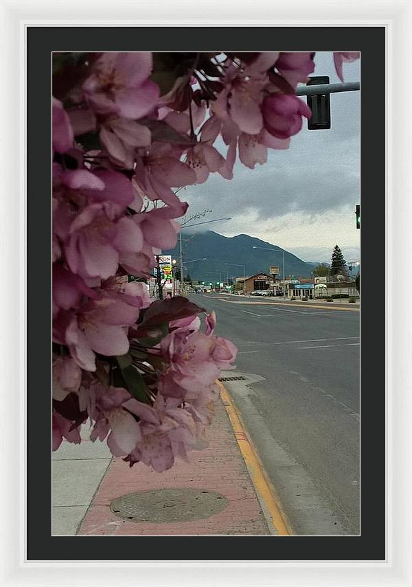 Montana Landscape - Framed Print
