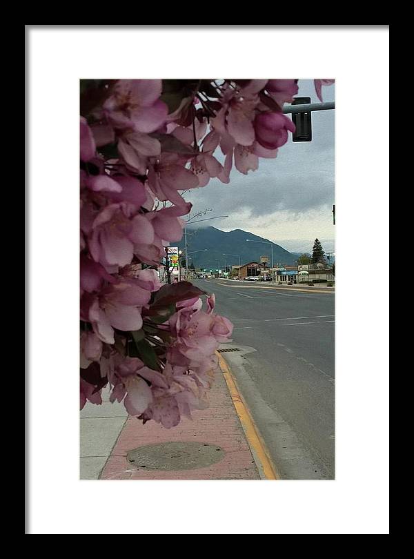 Montana Landscape - Framed Print
