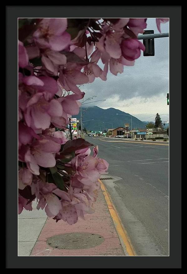 Montana Landscape - Framed Print