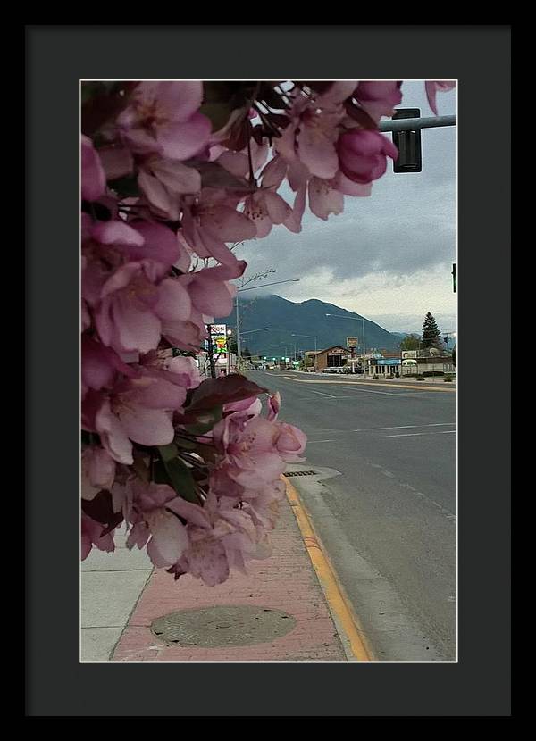 Montana Landscape - Framed Print