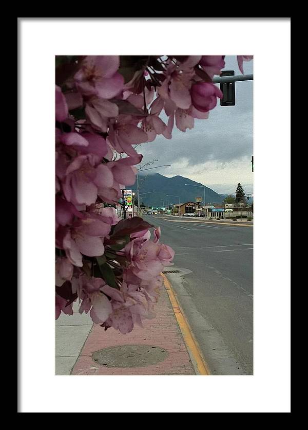Montana Landscape - Framed Print