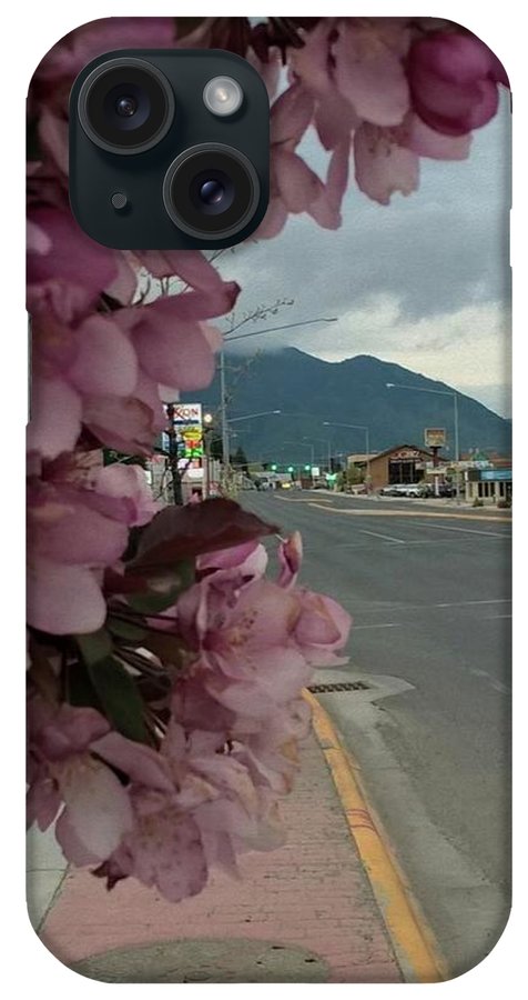Montana Landscape - Phone Case