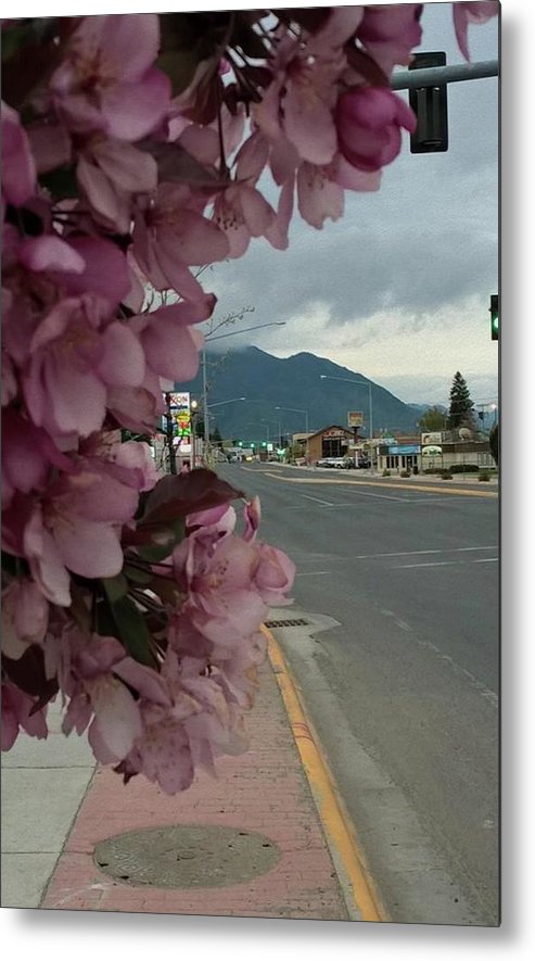 Montana Landscape - Metal Print