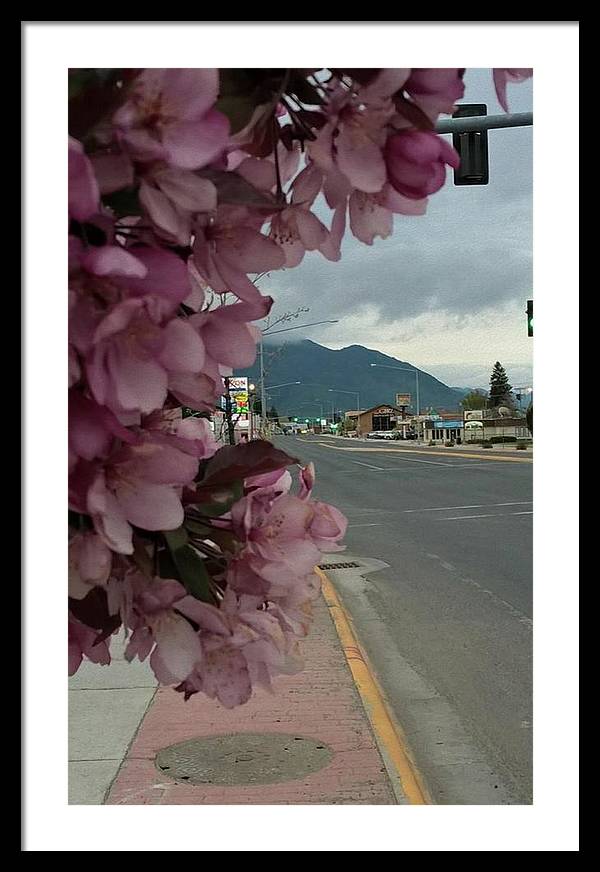 Montana Landscape - Framed Print
