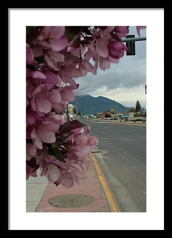 Montana Landscape - Framed Print
