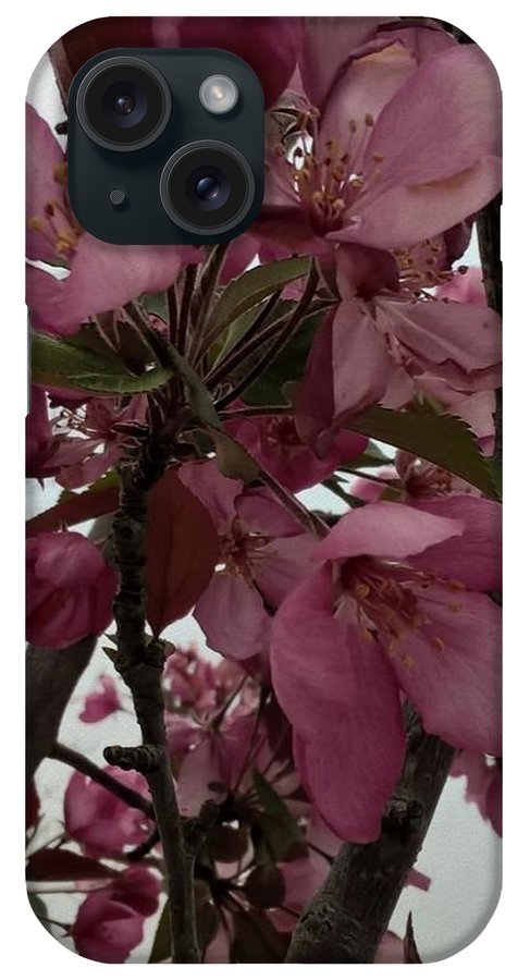 Montana Tree Flowers in Pink - Phone Case