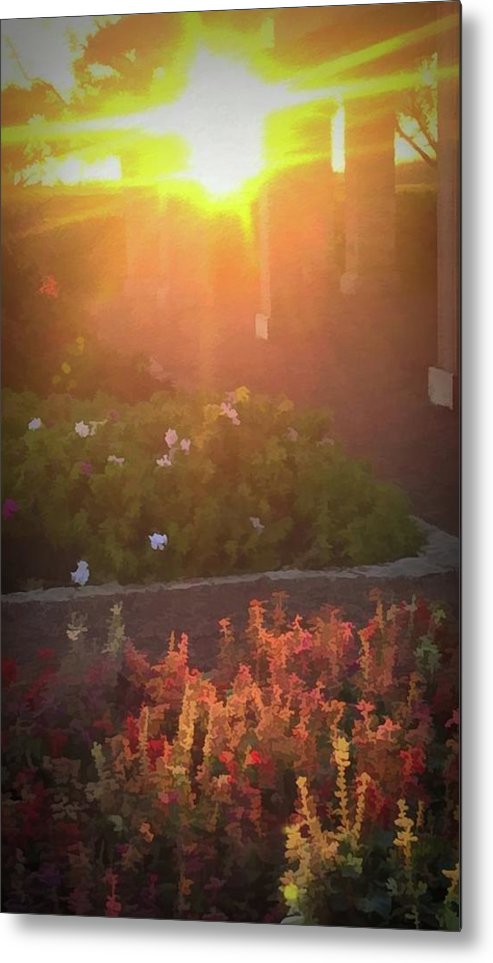 Morning Sunrise Garden Walk - Metal Print