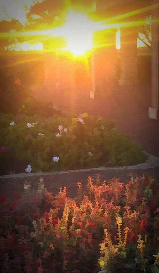 Morning Garden Walk Digital image Download