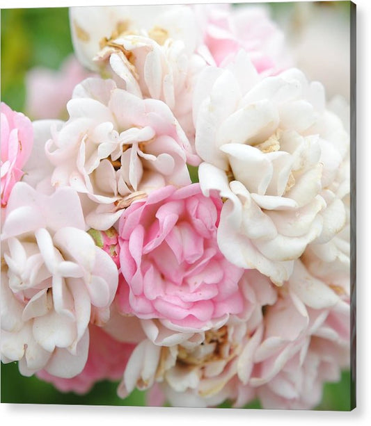 Natures Wedding Bouquet - Acrylic Print