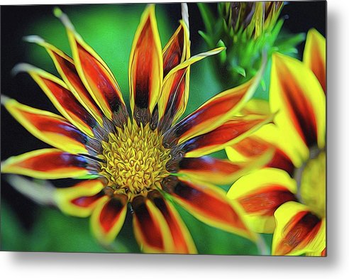 Orange and Yellow Flower - Metal Print