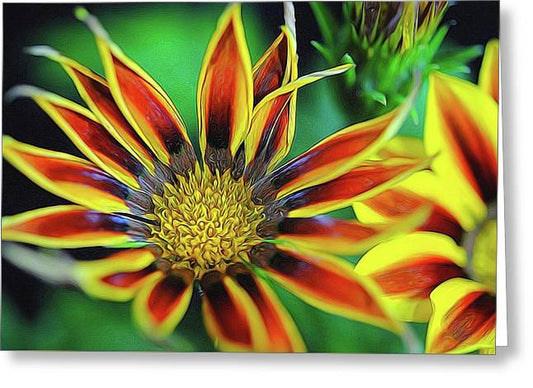 Orange and Yellow Flower - Greeting Card