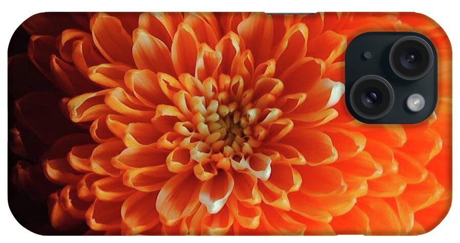 Orange Chrysanthemum - Phone Case