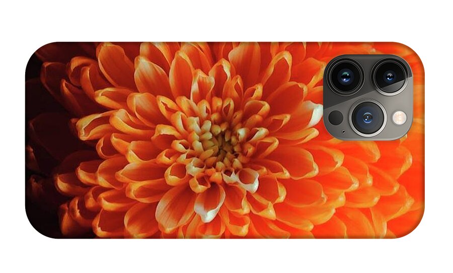 Orange Chrysanthemum - Phone Case