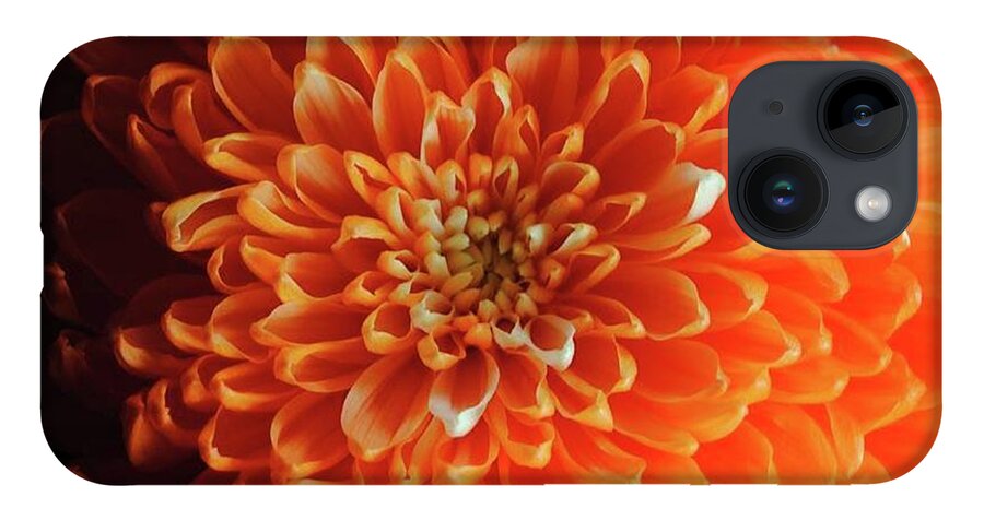 Orange Chrysanthemum - Phone Case