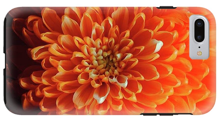 Orange Chrysanthemum - Phone Case