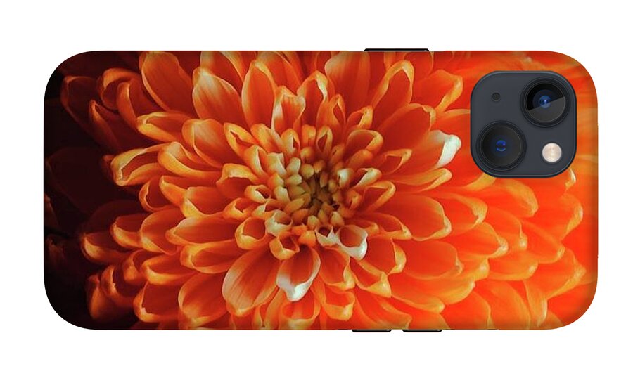 Orange Chrysanthemum - Phone Case