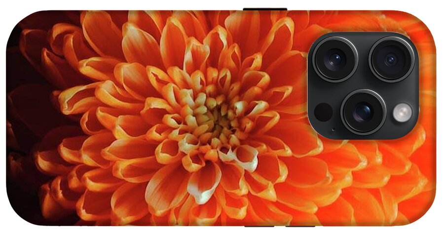 Orange Chrysanthemum - Phone Case