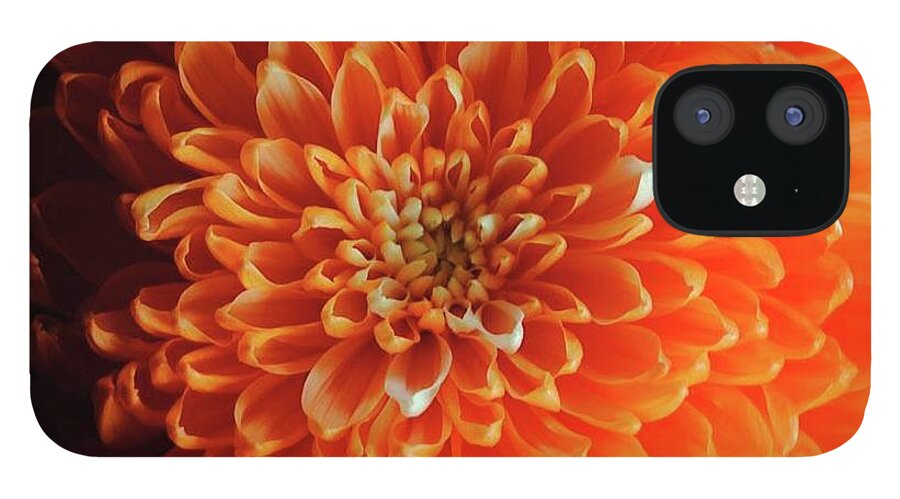 Orange Chrysanthemum - Phone Case