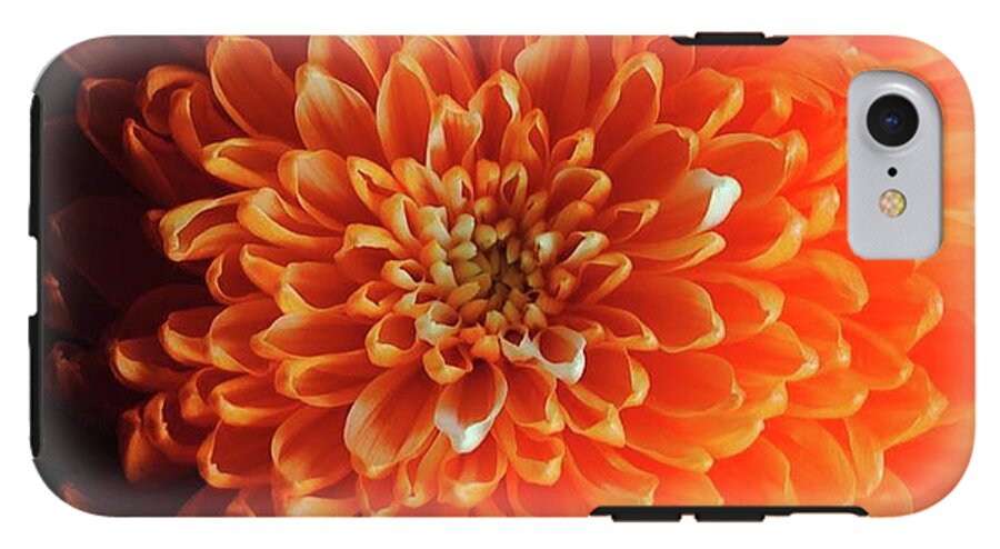 Orange Chrysanthemum - Phone Case