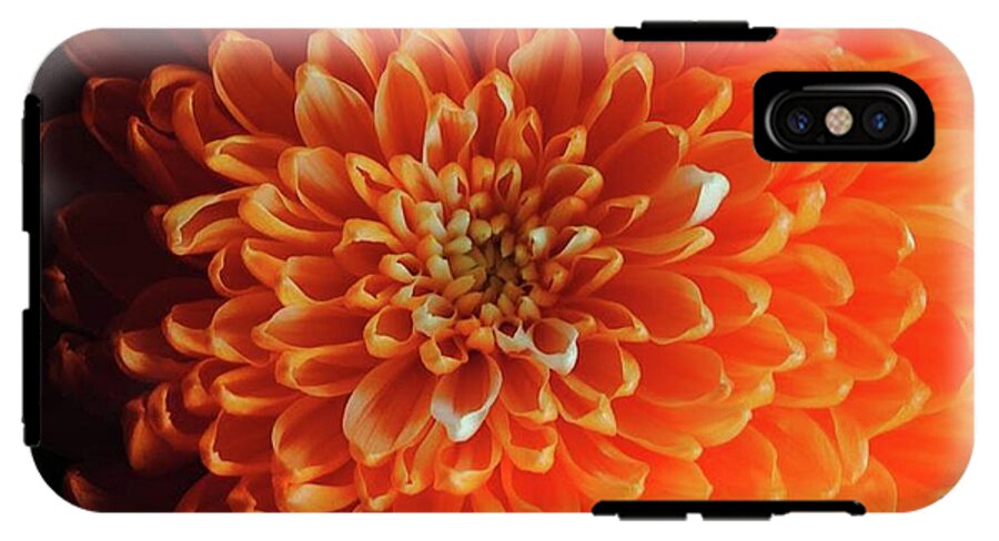 Orange Chrysanthemum - Phone Case