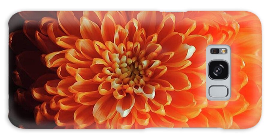 Orange Chrysanthemum - Phone Case