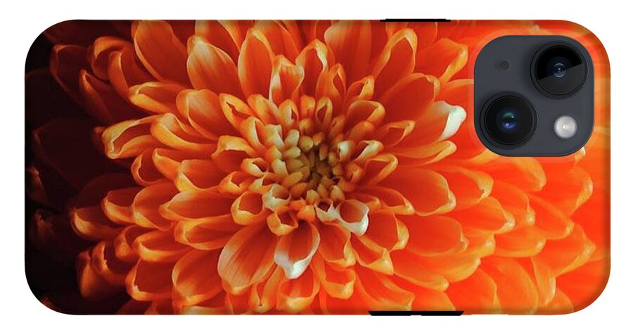 Orange Chrysanthemum - Phone Case
