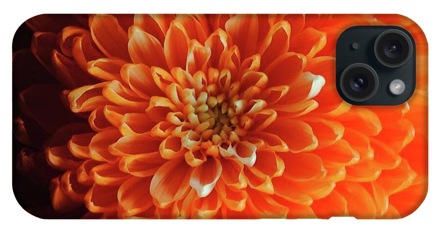 Orange Chrysanthemum - Phone Case