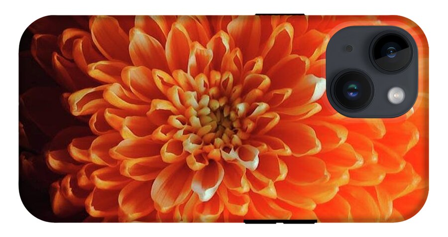 Orange Chrysanthemum - Phone Case