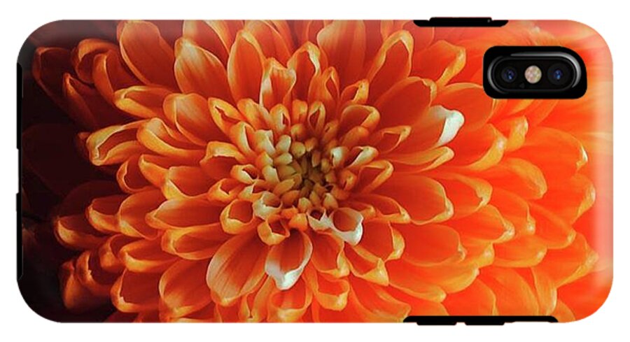 Orange Chrysanthemum - Phone Case