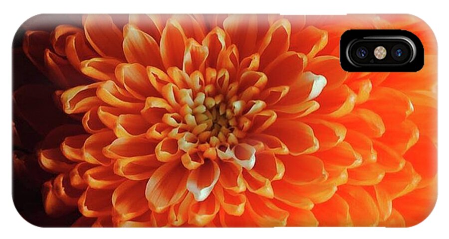 Orange Chrysanthemum - Phone Case