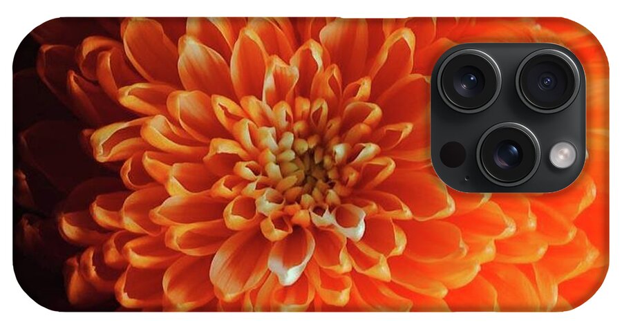 Orange Chrysanthemum - Phone Case