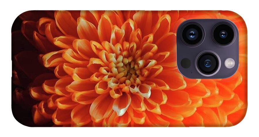 Orange Chrysanthemum - Phone Case