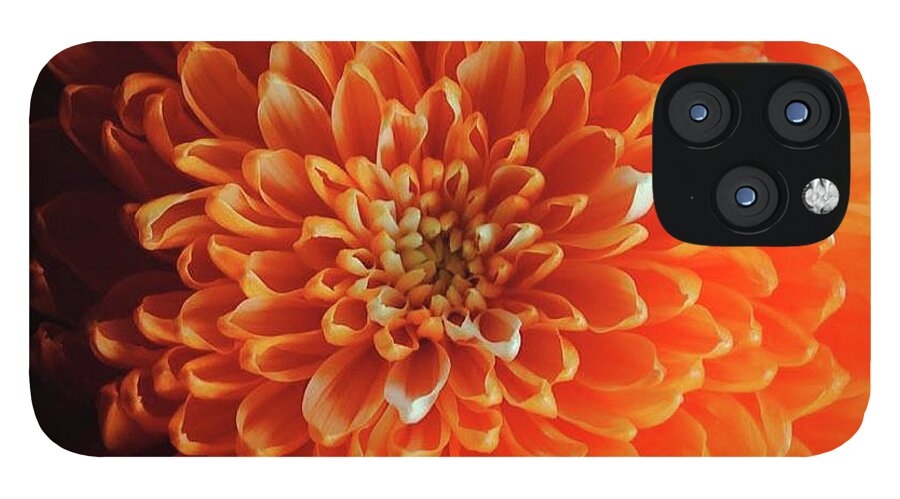 Orange Chrysanthemum - Phone Case