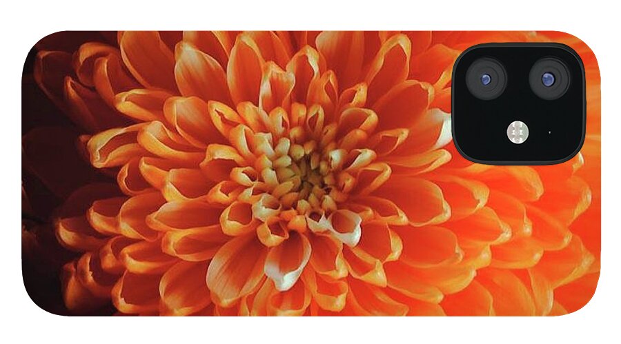 Orange Chrysanthemum - Phone Case