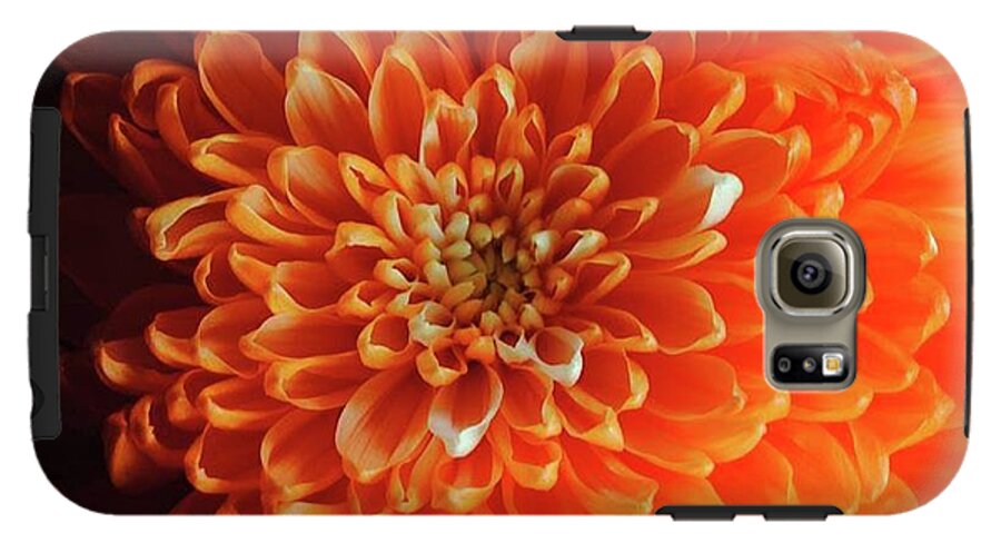Orange Chrysanthemum - Phone Case