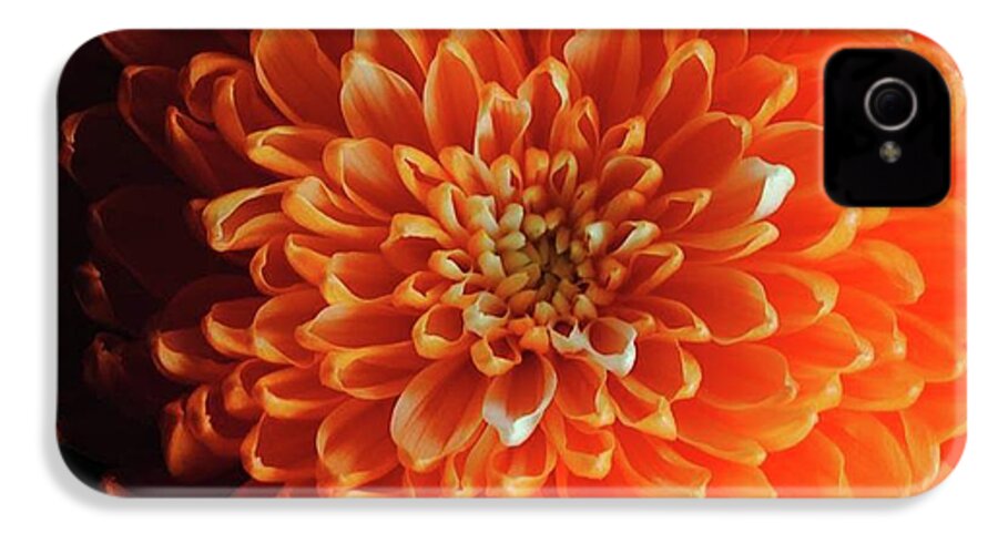 Orange Chrysanthemum - Phone Case