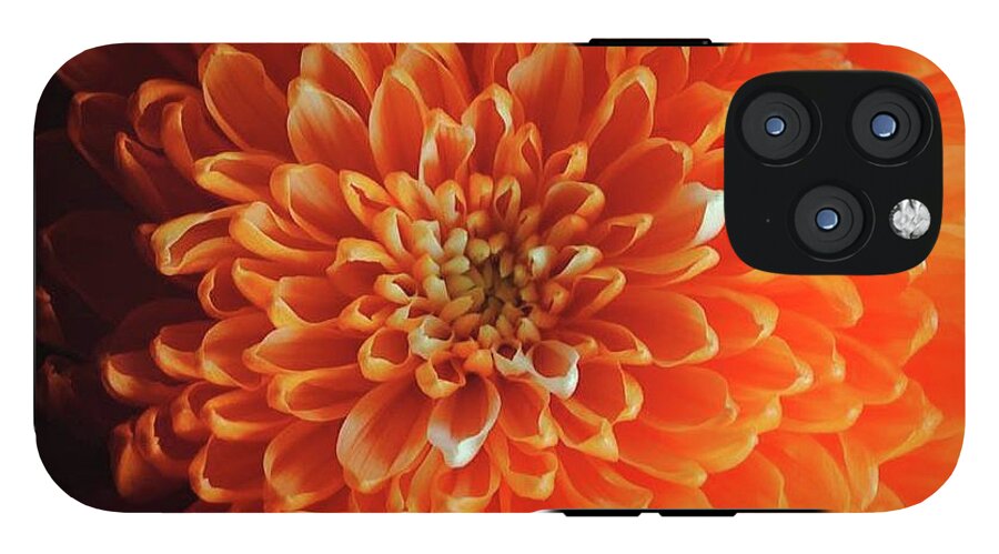 Orange Chrysanthemum - Phone Case
