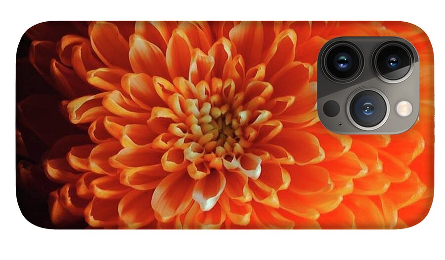 Orange Chrysanthemum - Phone Case