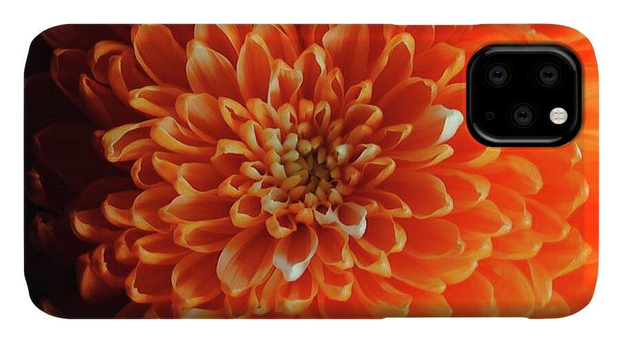 Orange Chrysanthemum - Phone Case