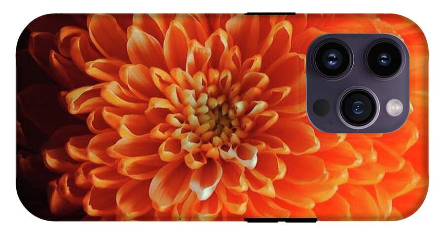 Orange Chrysanthemum - Phone Case