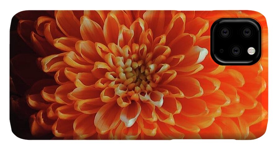 Orange Chrysanthemum - Phone Case