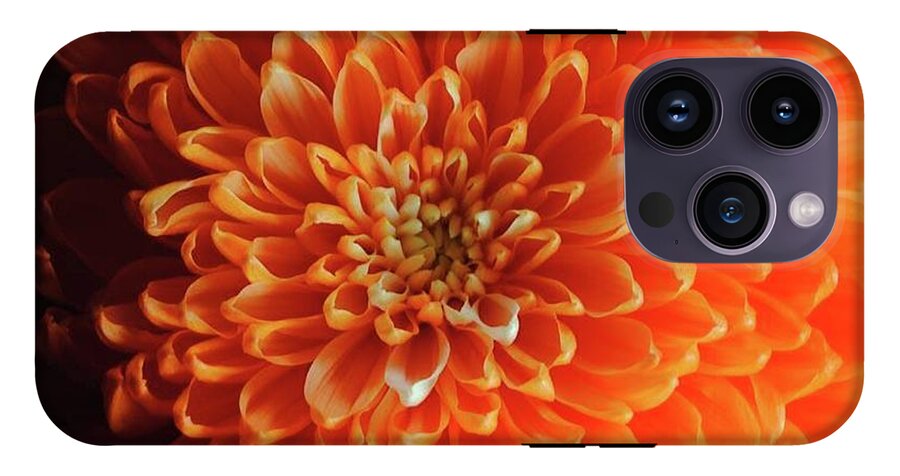 Orange Chrysanthemum - Phone Case