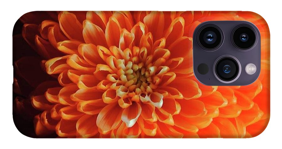 Orange Chrysanthemum - Phone Case